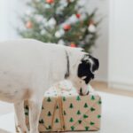 Что подарить 4 подругам image_1288.jpg