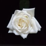 Какие подарки новорожденному images518.jpg